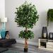 Primrue 72" Artificial Ficus Tree in Pot Silk/Plastic | 72 H x 39 W x 39 D in | Wayfair C9CE071019DA4532A733A57DE4331B45