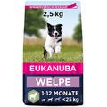 Eukanuba Welpenfutter mit Lamm & Reis für kleine und mittelgroße Rassen - Trockenfutter für Junior Hunde, 2,5 kg