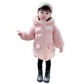 Girls Hooded Coat, Winter Warm Toddler Kids Girls Winter Cute Cartoon Thick Hooded Down Zipper Mid-Length Jacket Padded Coats (Pink, 3-4 Years)