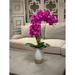 Primrue Orchid Floral Arrangement in Vase Polysilk | 30 H x 20 W x 11 D in | Wayfair 1B4DBDC3D3D84A65A1BF96A45BE53539