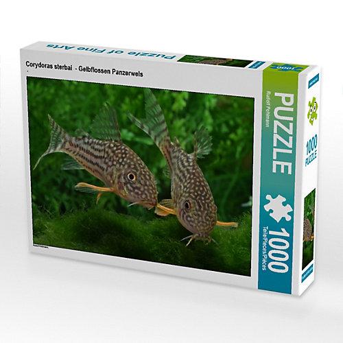 Puzzle CALVENDO Puzzle Corydoras sterbai - Gelbflossen Panzerwels - 1000 Teile Foto-Puzzle glückliche Stunden Kinder