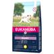 3kg Small Puppy Eukanuba Dry Dog Food