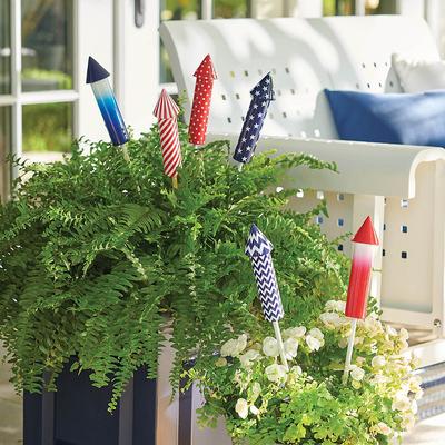 Firework Plant Stakes, Set Of Six - Grandin Road