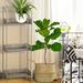 17 Stories Rectangular Multi-tiered Plant Stand Metal in Gray | 45.5 H x 8.75 D in | Wayfair A405848815AE4549AE2FA244B5030DF8