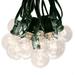The Holiday Aisle® Alsip 50' Outdoor 50 - Bulb Globe String Light, Glass in Green | 2.25 H x 600 W in | Wayfair 457A6F80FA7E454A8732D50EB3EEF429