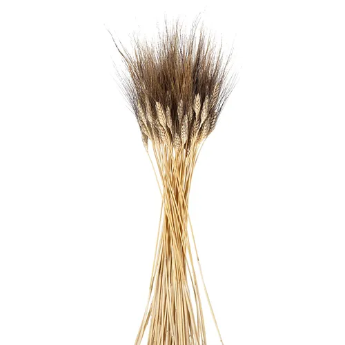 Epis d'orge, jaune, 100 g