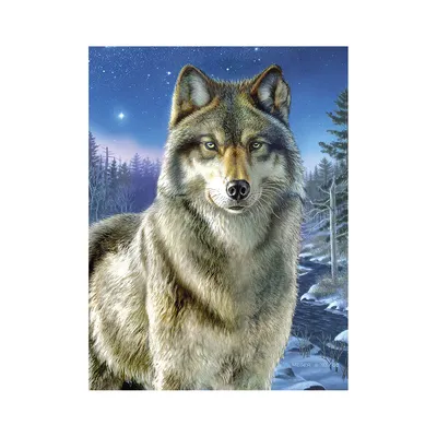 Malen nach Zahlen mit Acrylfarben, Wolf, 23 x 30,5 cm