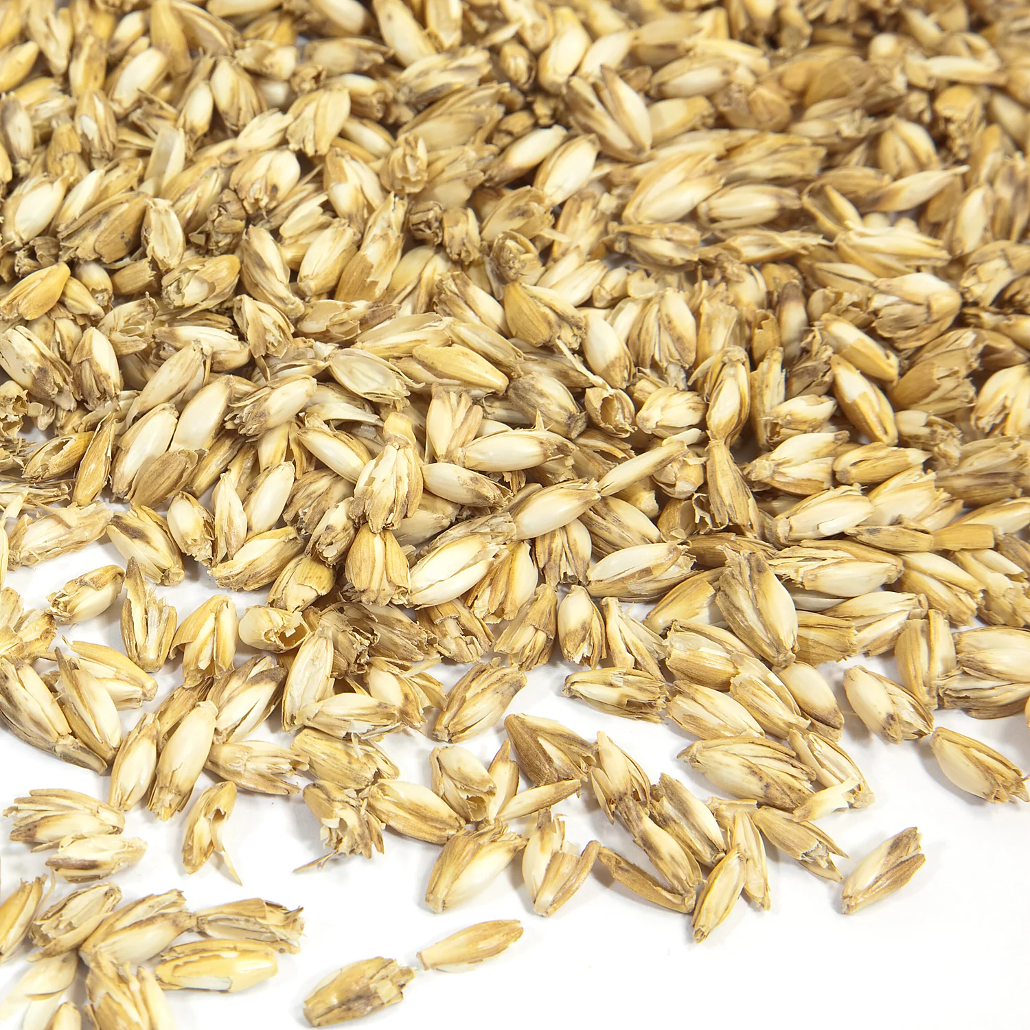 Dinkelspelz, 1000 g Image