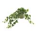 Birch Lane™ 24" Artificial Ivy Plant in Pot Plastic/Fiberstone/Polysilk in Gray | 11 H x 22 W x 15 D in | Wayfair 7F2F34C1575647BD9D226EB1F3024FE4