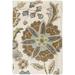 White 24 x 0.63 in Area Rug - Langley Street® Elsberry Floral Handmade Tufted Wool Demin/Light Gray/Tan Area Rug Wool | 24 W x 0.63 D in | Wayfair