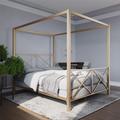 Mercer41 Saarah Low Profile Canopy Bed Metal in Gray/Yellow | 72 H x 63.5 W x 80 D in | Wayfair EE8E6F4381334094860C13E986293645