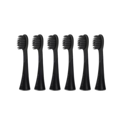 Ailoria Shine Bright Replacement Charcoal Ersatzbürstenköpfe Schwarz 12er Set