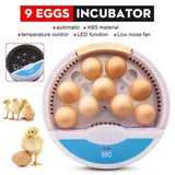 Incubateur automatique d'œufs 11...