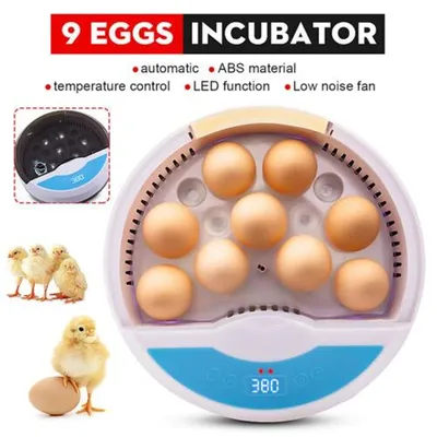 Incubateur d'emoufs existent à LED avec Contrôle de Température Mini Couveuse Numérique pour