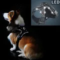 Harnais LED en Nylon pour animaux de compagnie produit pour animaux de compagnie lumière