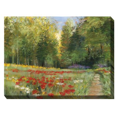 WILDERNESS WALK OUTDOOR ART 40X30 by West of the Wind in Multi