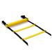 Forerate Agility Speed Training Ladder Plastic in Black/Yellow | 157.48 H x 16.14 W x 0.79 D in | Wayfair 04ODE0005ABY