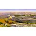 Bloomsbury Market Praying on the Mount of Olives Overlooking the Old City - Painting Print on Canvas in Green/Yellow | 27 H x 51 W x 2 D in | Wayfair