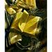 Bloomsbury Market Still Life w/ the Torah - Painting Print on Canvas in Black | 35 H x 27 W x 2 D in | Wayfair 9CBBD11A55C44E289B0A86169E7B91EC