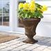 Crescent Garden Festonada Plastic Urn Planter Plastic in Brown | 23 H x 19.5 W x 19.5 D in | Wayfair A635033