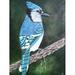 Loon Peak® Blue Jay by Amy Valiante - Painting Print in Blue/Green | 12 H x 9 W x 1.5 D in | Wayfair 7E5058B4B0C94A4588E5B9EC69CBFC57