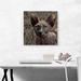 ARTCANVAS Sphynx Cat Breed - Wrapped Canvas Graphic Art Print Canvas, Wood in Brown/Gray | 18 H x 18 W x 0.75 D in | Wayfair ACICAT161-1S-18x18