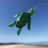 Bay Isle Home™ Baby Sea Turtle 3D Windsock Plastic in Brown | 34 H x 38 W in | Wayfair 7FF47D4AF3E2499DA4B79077909E7AC8