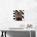 ARTCANVAS American Shorthair Cat Breed Grumpy - Wrapped Canvas Graphic Art Print Canvas, Wood in Black/Brown/White | 12 H x 12 W x 1.5 D in | Wayfair
