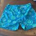 The North Face Shorts | Brand New North Face Shorts | Color: Blue/Green | Size: S