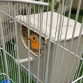 Boîte de accent d'oiseau en plastique nichoir de montage maison de perruche élevage boîte