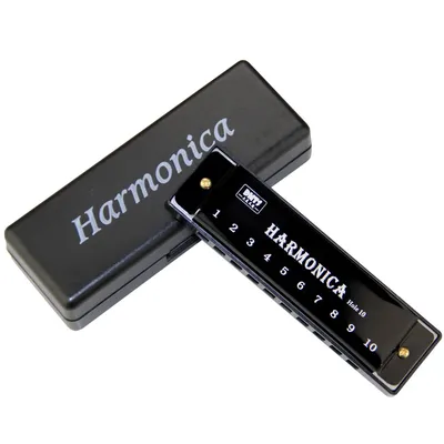 Harmonica Key of C 10 Hole Diatonic Harmonica C avec étui pour étudiants débutants cadeau pour