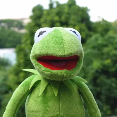 Peluche Kermit la Grenouille de Sésame Street pour Enfant, Poupée Peluchée du Muppet Show, Peluches,