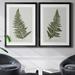 Bay Isle Home™ Fern Studies I - 2 Piece Graphic Art Print Set Canvas, Solid Wood in Gray | 24.5 H x 37 W x 1.5 D in | Wayfair