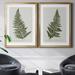 Bay Isle Home™ Fern Studies I - 2 Piece Graphic Art Print Set Canvas, Solid Wood in Green | 22.5 H x 61 W x 1.5 D in | Wayfair