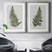Bay Isle Home™ Fern Studies I - 2 Piece Graphic Art Print Set Canvas, Solid Wood in Gray | 24.5 H x 37 W x 1.5 D in | Wayfair