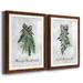 The Holiday Aisle® Sprig of Christmas Time - 2 Piece Picture Frame Graphic Art Print Set Paper, in Black/Green/White | 27.5 H x 37.5 W in | Wayfair