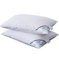 ANALIN 2 Pack Goose Feather Down Pillows, 100% Cotton Shell, Non-allergenic & Anti dust mite, Soft Hotel Quality Pillows (15% Goose Down)