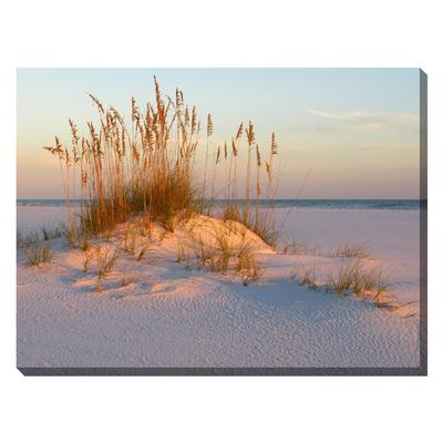 Sea Oats & Sand Outdoor Canvas Art by West Of The Wind in Multi