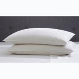 2-Pack Quilless Feather-Filled Pillows by BrylaneHome in White (Size JUMBO)