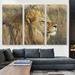 ARTCANVAS Lion in Savanah Home Decor - 3 Piece Wrapped Canvas Photograph Print Set Canvas, Wood in Brown | 60 H x 90 W x 1.5 D in | Wayfair