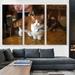 ARTCANVAS Munchkin Cat - 3 Piece Wrapped Canvas Photograph Print Set Canvas in Brown | 60 H x 90 W x 1.5 D in | Wayfair OPEPHO269-3L-90x60