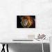 ARTCANVAS Lion Home Decor - Wrapped Canvas Photograph Print Canvas, Wood in Black/Brown/White | 12 H x 18 W x 3 D in | Wayfair OPEPHO233-1S-18x12