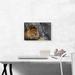 ARTCANVAS Lion Resting under the Tree - Wrapped Canvas Photograph Print Canvas, Wood in Brown/Gray | 12 H x 18 W x 0.75 D in | Wayfair
