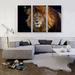 ARTCANVAS Lion Home Decor - 3 Piece Wrapped Canvas Photograph Print Set Metal in Black/Brown/White | 40 H x 60 W x 7 D in | Wayfair