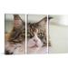 ARTCANVAS Maine Coon Cat Home Decor - 3 Piece Wrapped Canvas Photograph Print Set Metal in Brown/White | 40 H x 60 W x 0.75 D in | Wayfair