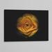 Ebern Designs Backyard Flowers 74 by Brian Carson - Photograph Print Canvas, Latex in Black/Yellow | 12 H x 18 W x 1.5 D in | Wayfair
