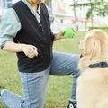 GlaJacket pour l'entraînement des chiens entraîneur d'agilité pour animaux de compagnie poches