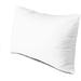 East Coast Bedding European 800 Fill Power Goose Down Pillow. (Queen) Down & Feathers/100% Cotton in White | 20 H x 36 W x 20 D in | Wayfair