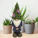 Trinx Jorge Gnome w/ Topiary Hat Statue Resin/Plastic | 12 H x 4 W x 4.2 D in | Wayfair A35B7F6FD3AD4FB7A26A183BAF363EE2