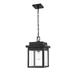 Breakwater Bay Kenedy 1 Light 11" Wide Outdoor Pendant Metal in Black | 17 H x 10.5 W x 10.5 D in | Wayfair 044722BFB6C640B3BCE37BDB3033B2CC